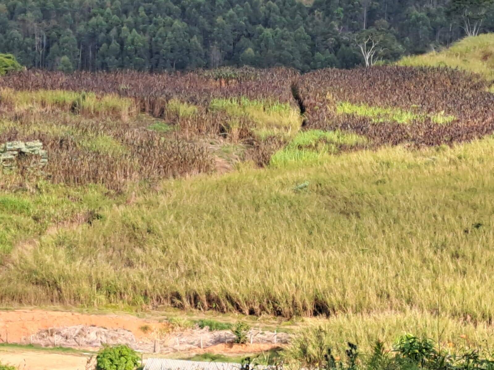 #228 - Área para Incorporação para Venda em Morungaba - SP