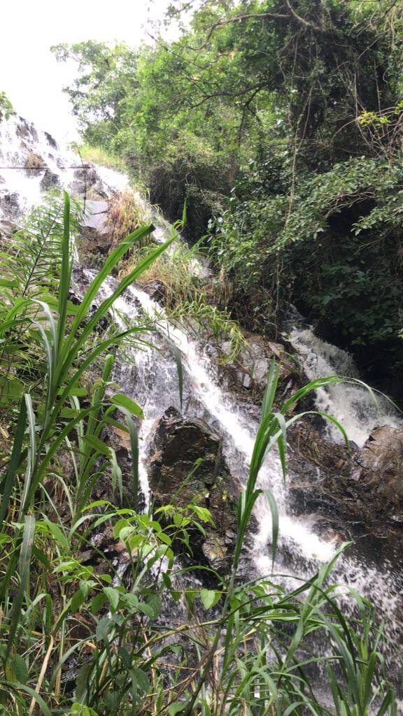 #330 - Sítio para Venda em Amparo - SP