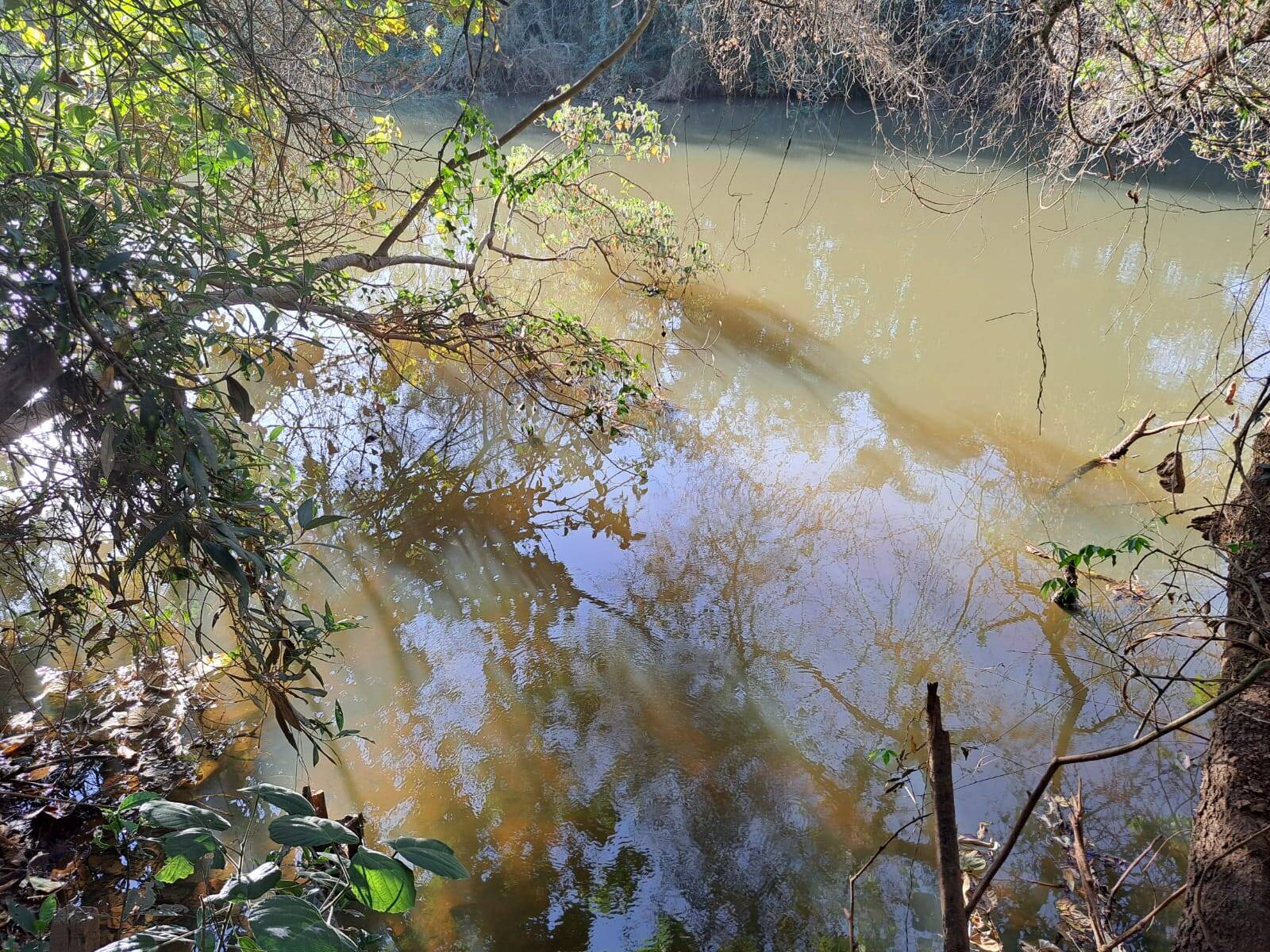 #229 - Sítio para Venda em Morungaba - SP