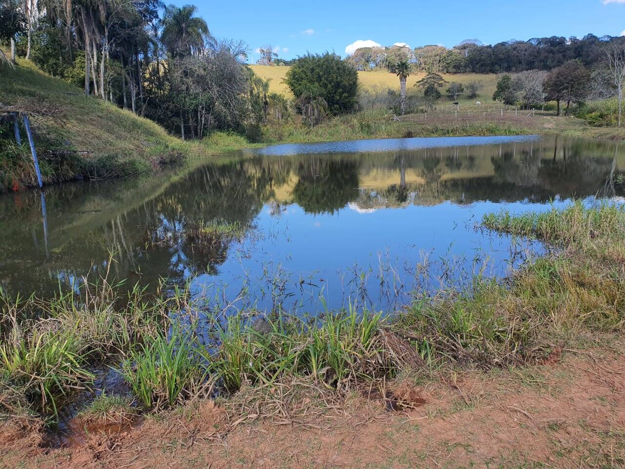 #409 - Sítio para Venda em São Paulo - SP