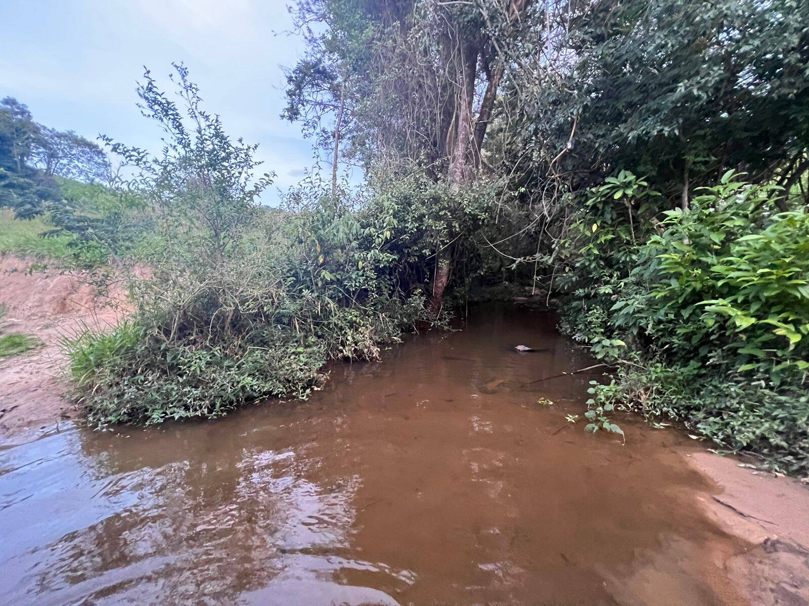 #418 - Sítio para Venda em Amparo - SP