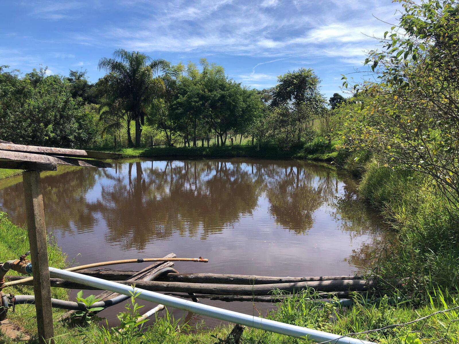 #435 - Sítio para Venda em Amparo - SP