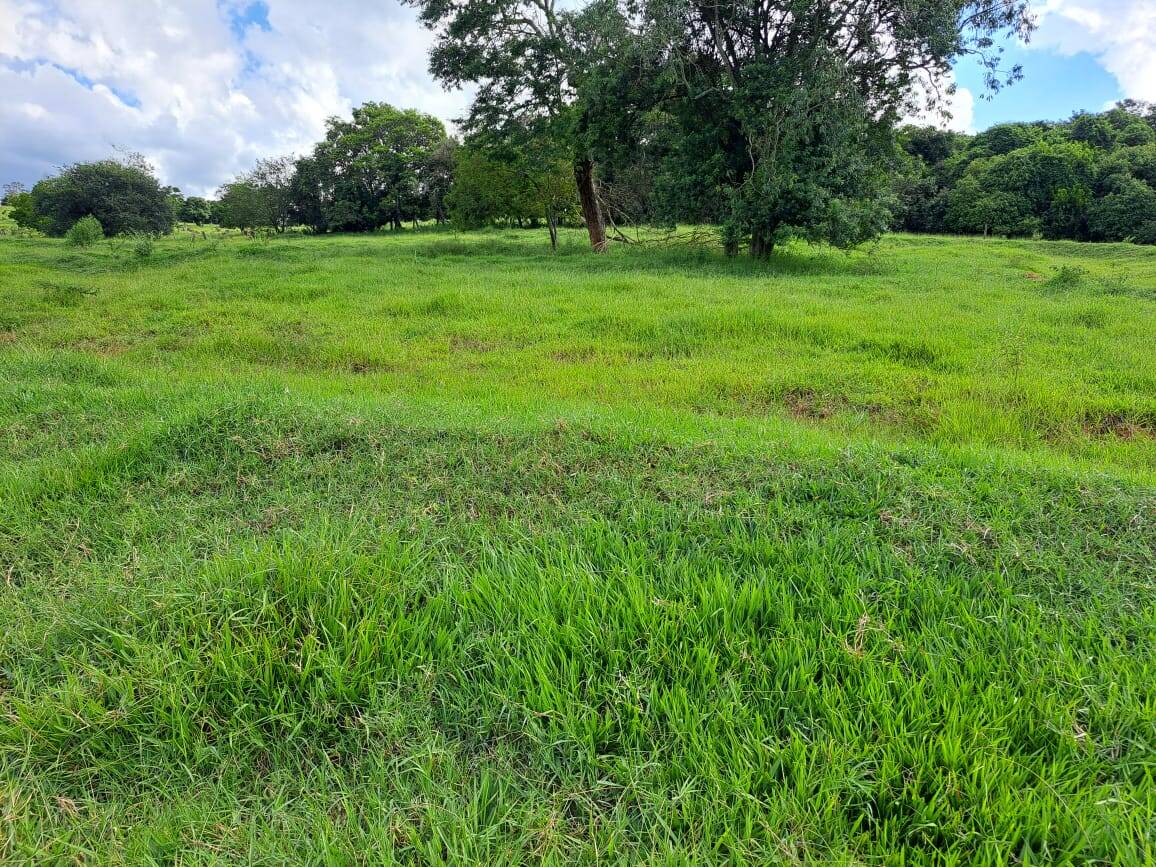 #440 - Sítio para Venda em Morungaba - SP