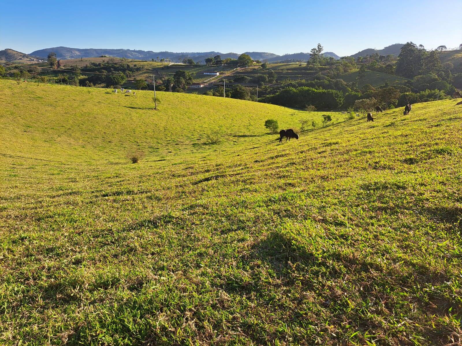 #461 - Sítio para Venda em Morungaba - SP