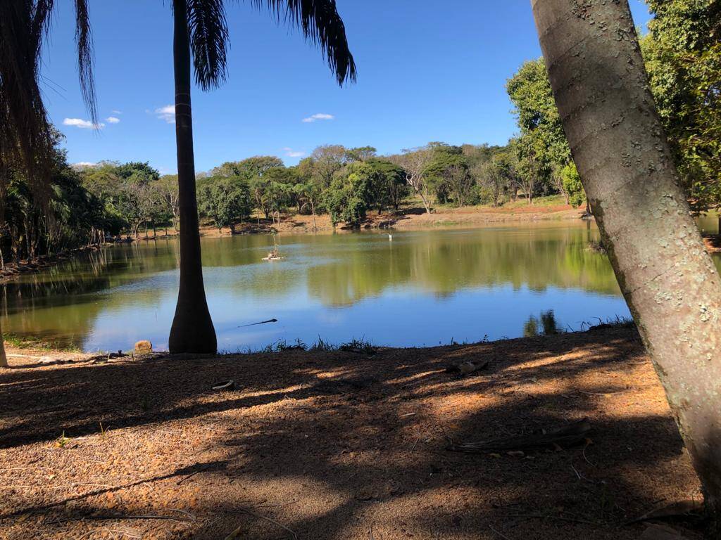 #463 - Fazenda para Venda em São Carlos - SP