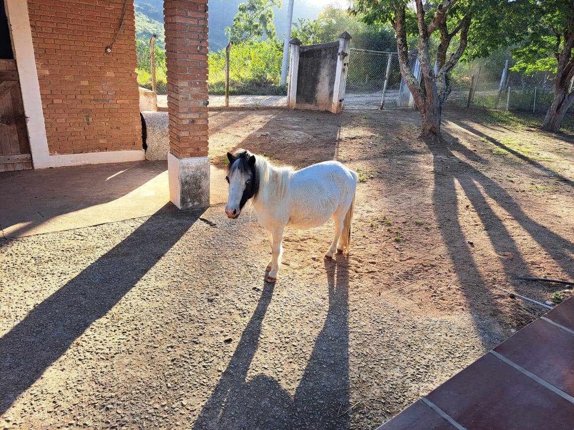 #466 - Sítio para Venda em Morungaba - SP