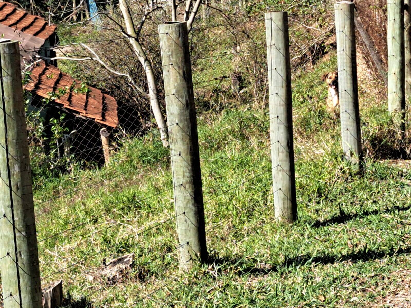 #471 - Área para Incorporação para Venda em Morungaba - SP