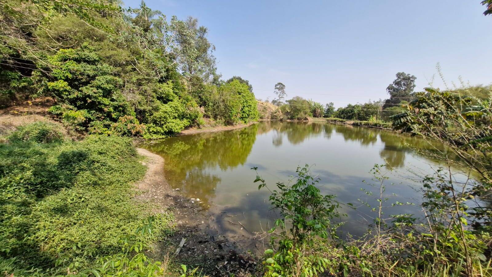 #477 - Sítio para Venda em Amparo - SP