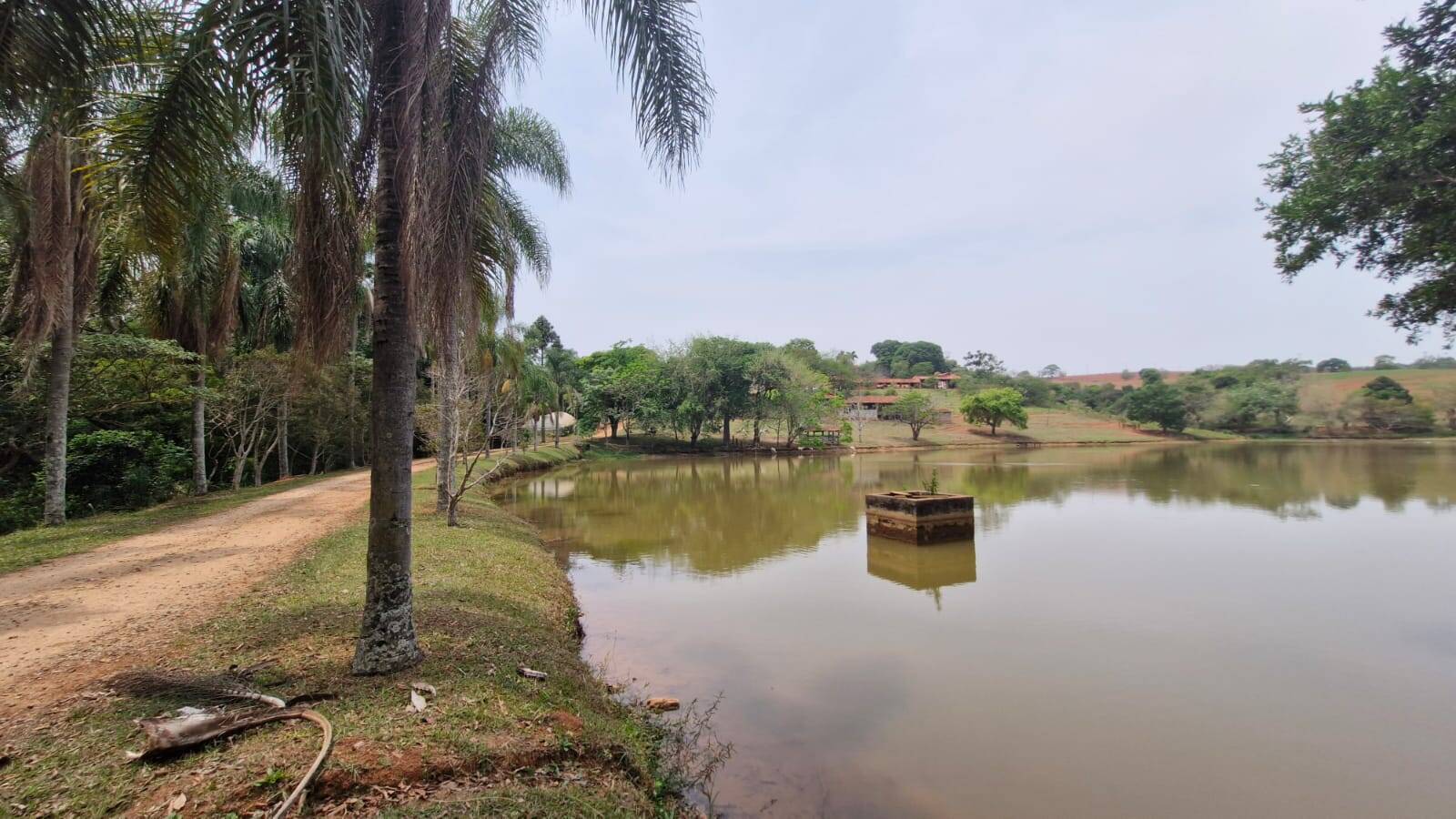 #481 - Sítio para Venda em Morungaba - SP