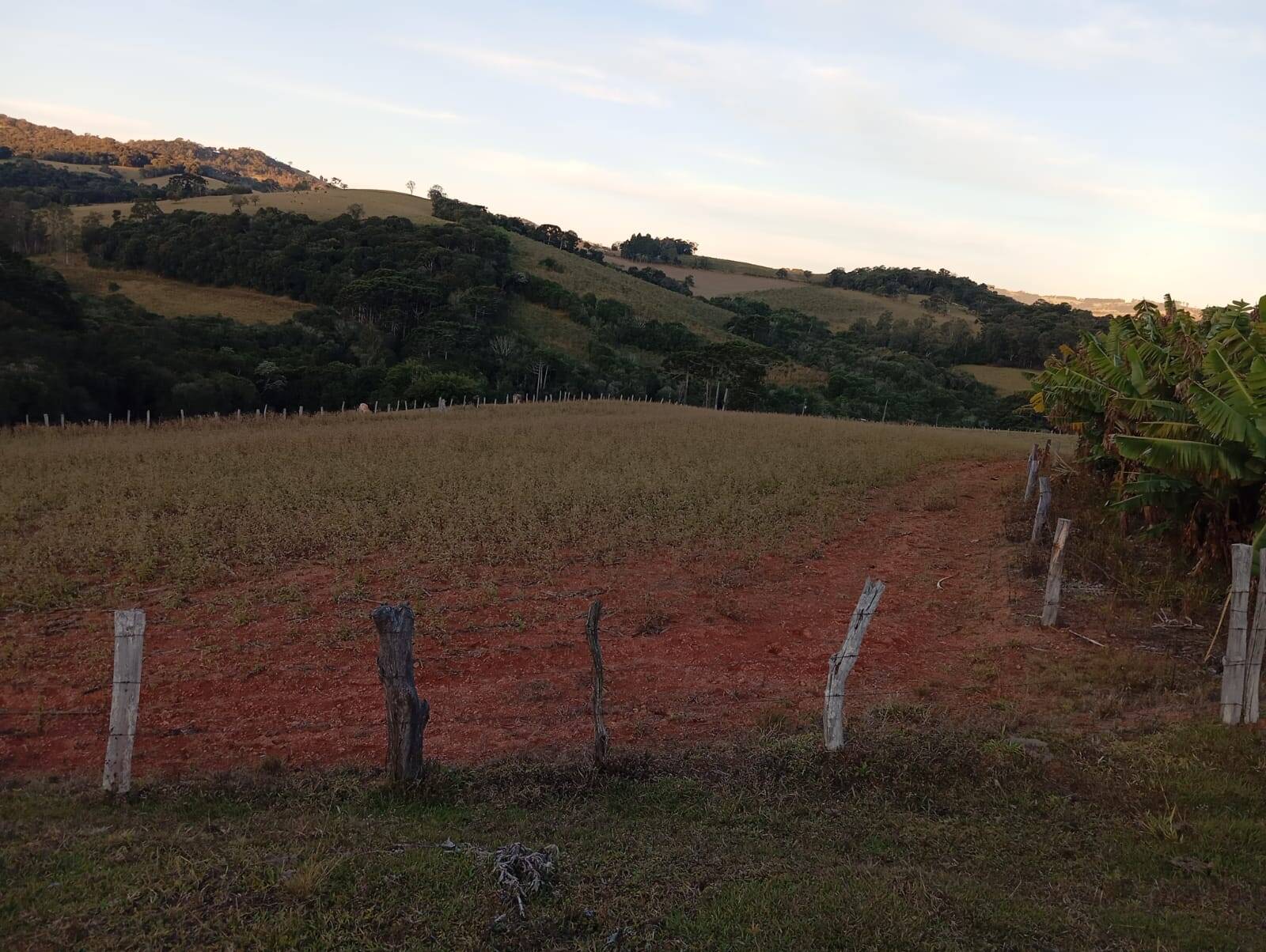 #482 - Sítio para Venda em Socorro - SP