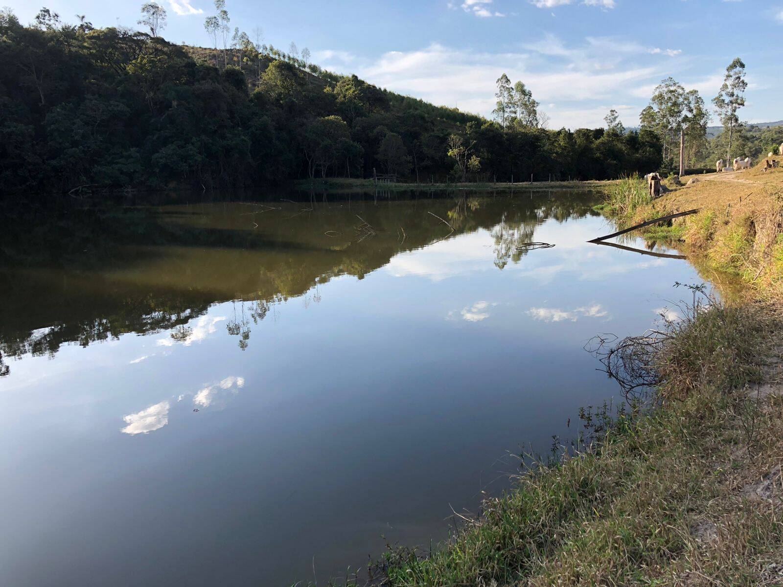#262 - Fazenda para Venda em Morungaba - SP