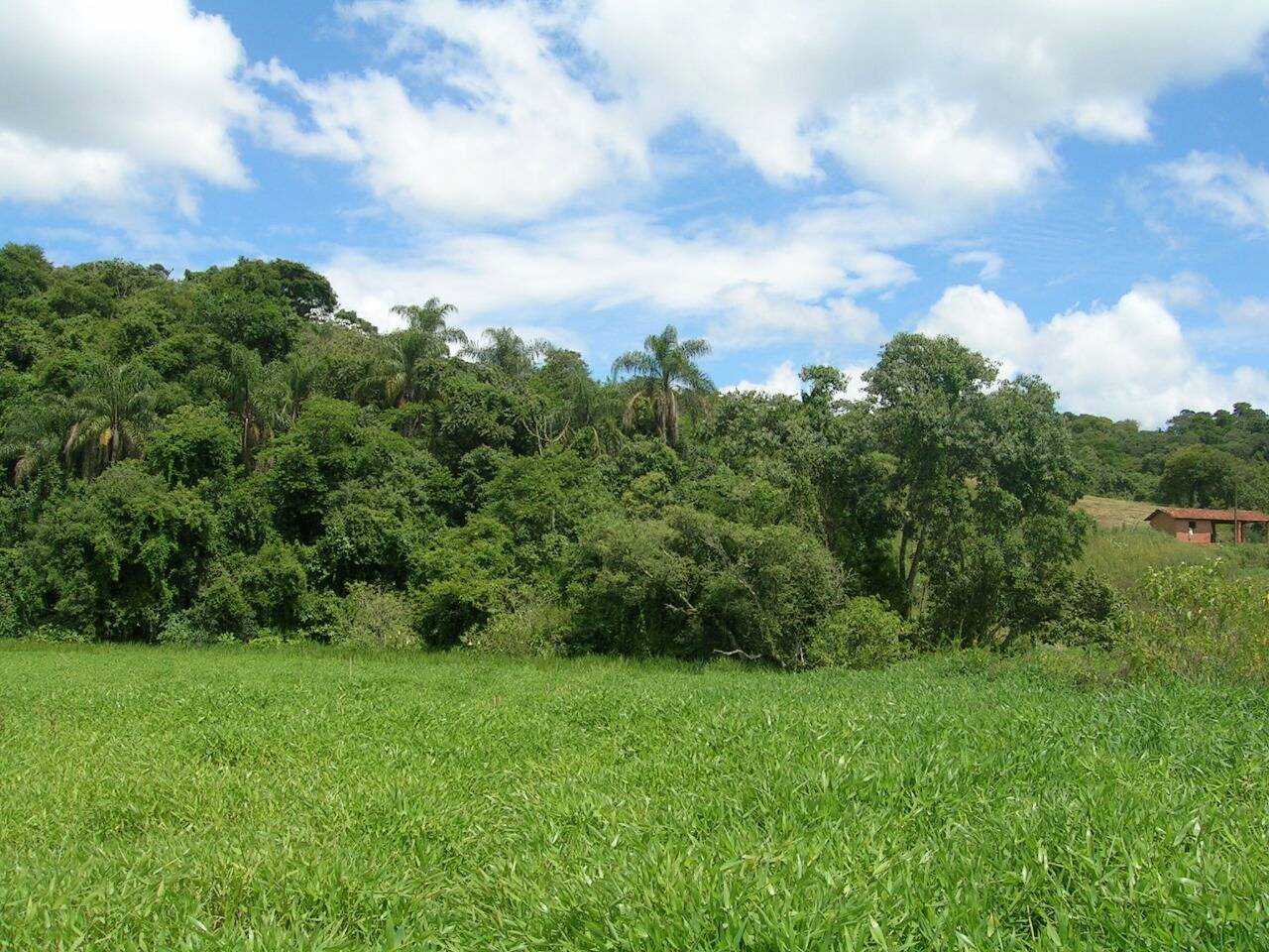 #323 - Sítio para Venda em Morungaba - SP