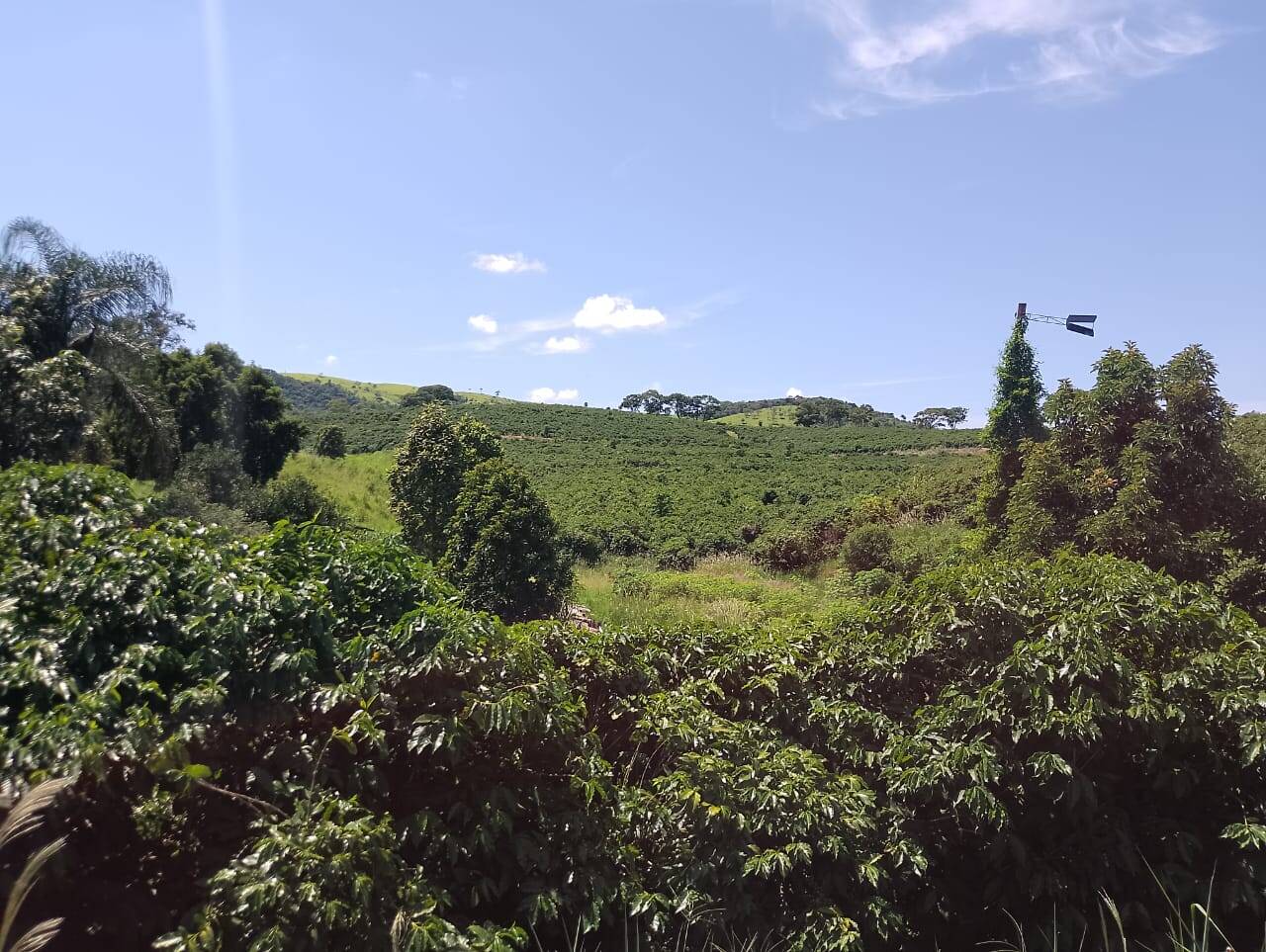 #085 - Sítio para Venda em Amparo - SP