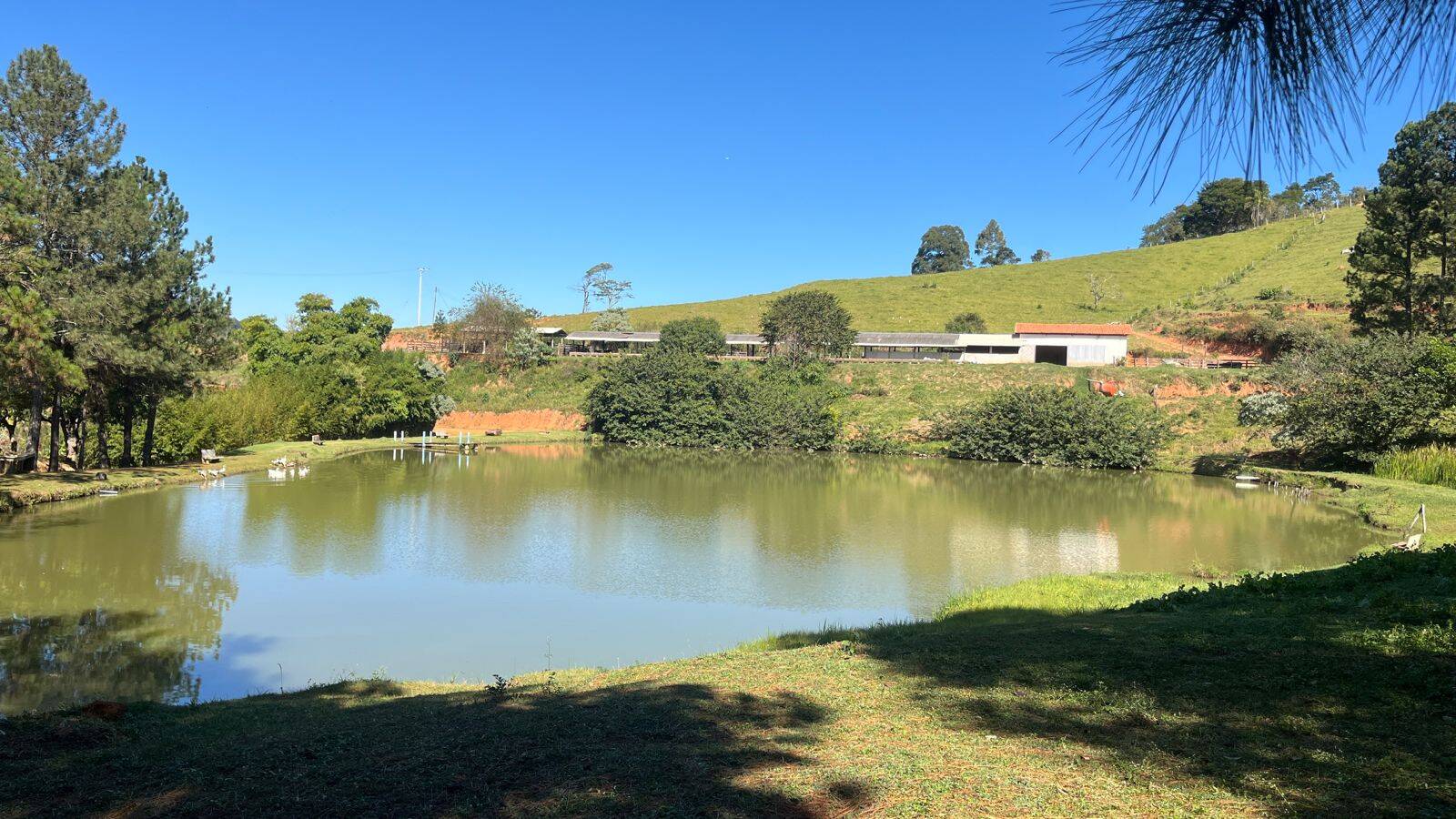 #168 - Fazenda para Venda em Monte Alegre do Sul - SP