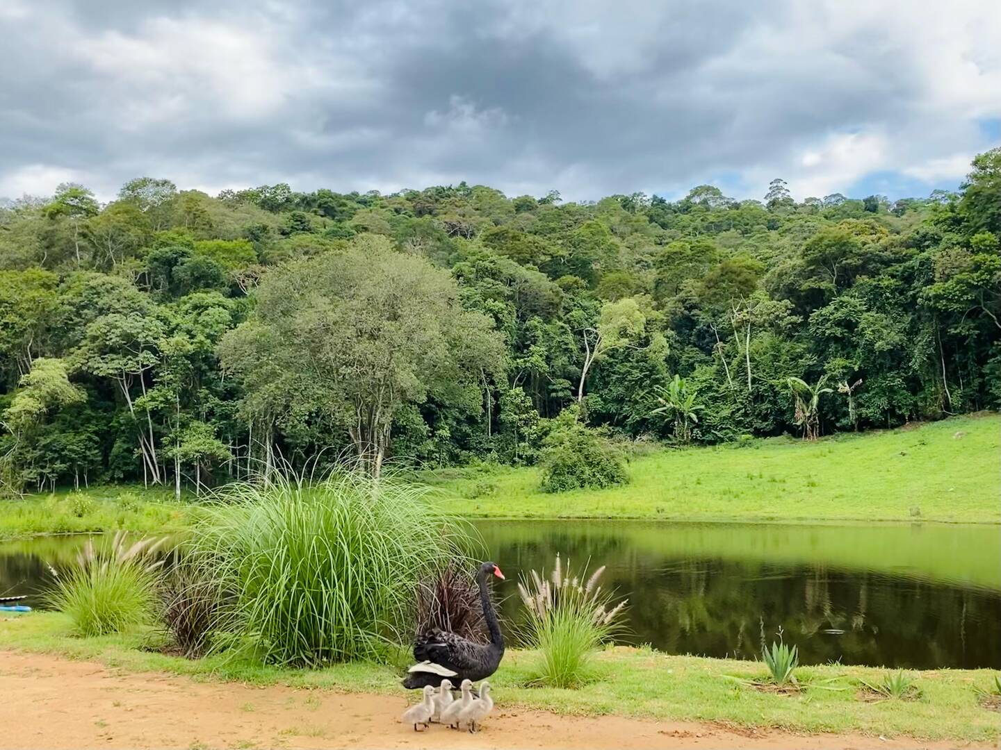 #144 - Fazenda para Venda em São Roque - SP