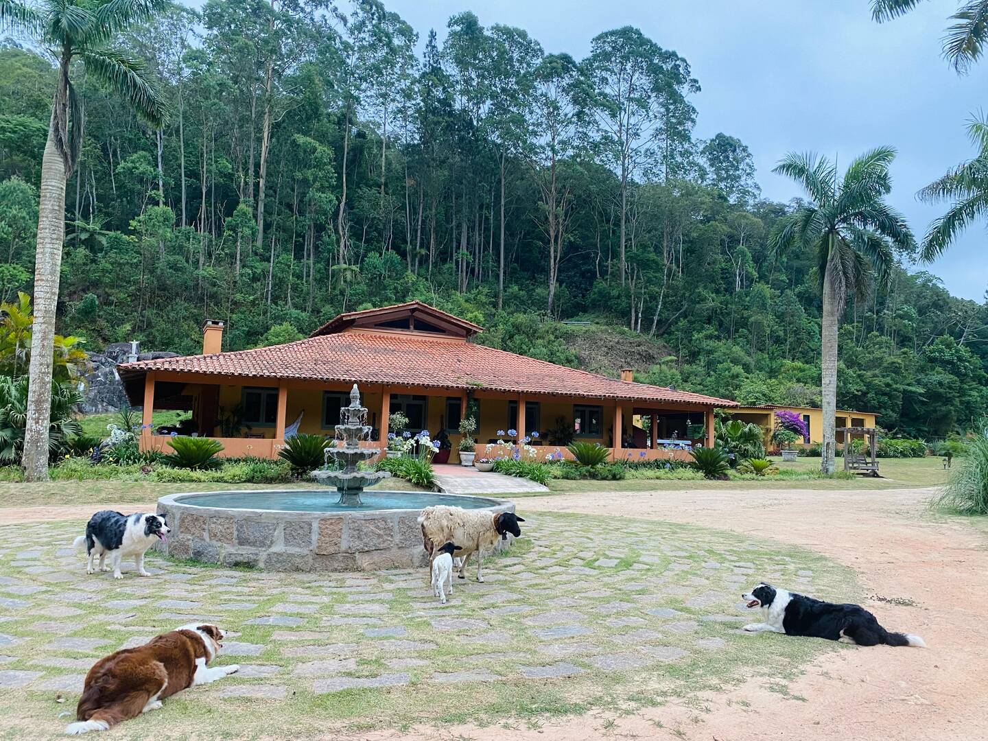 #144 - Fazenda para Venda em São Roque - SP