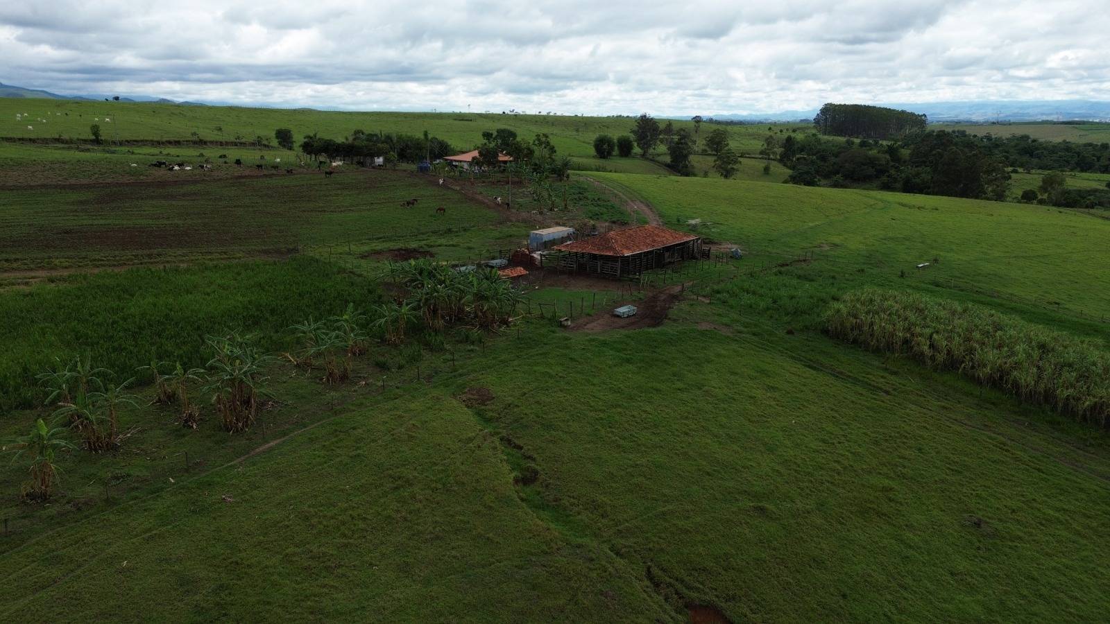 #177 - Sítio para Venda em Guaratinguetá - SP