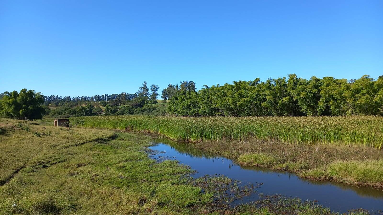 #118 - Sítio para Venda em Campinas - SP