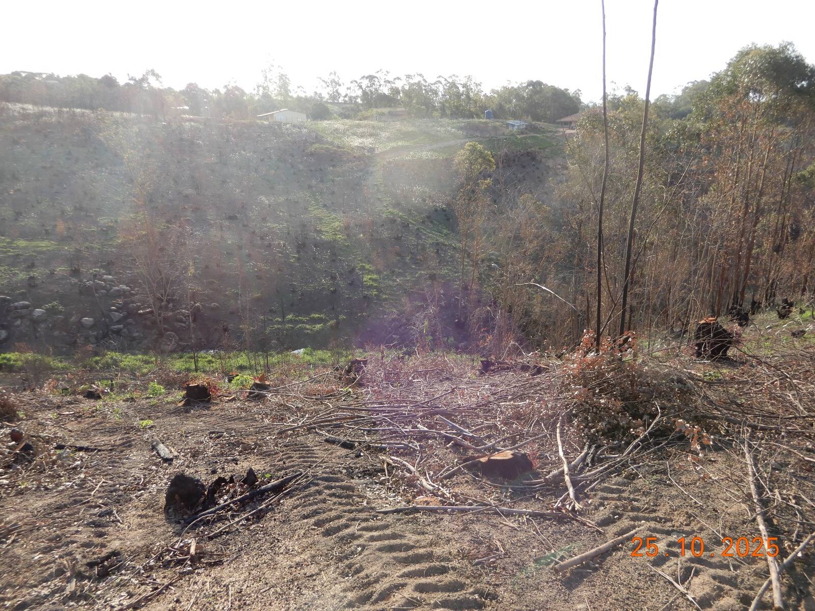 #206 - Sítio para Venda em Amparo - SP