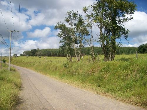 #310 - Empresa para Venda em Morungaba - SP