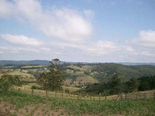 #354 - Sítio para Venda em Morungaba - SP