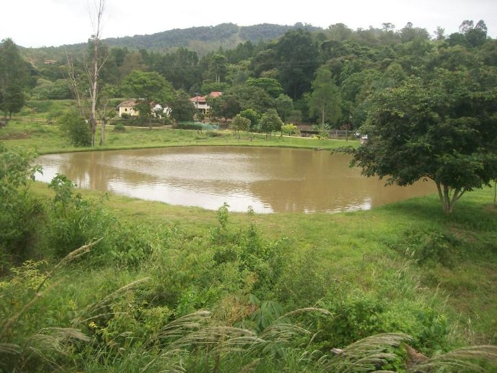 #254 - Sítio para Venda em Amparo - SP