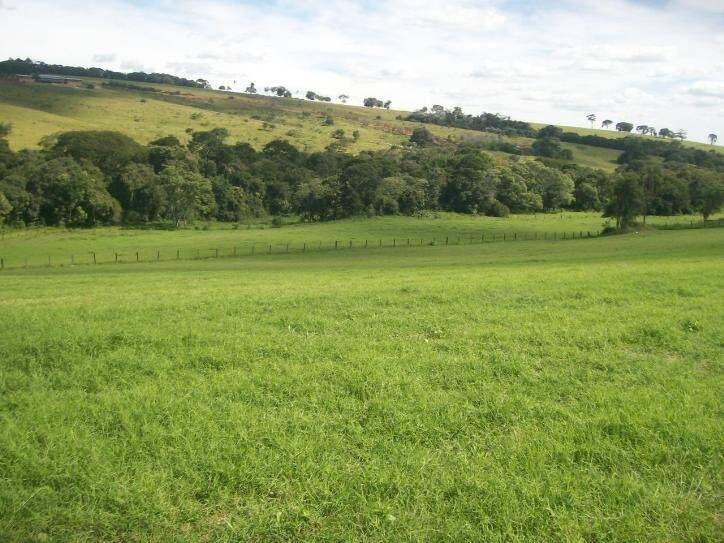 #383 - Sítio para Venda em Morungaba - SP