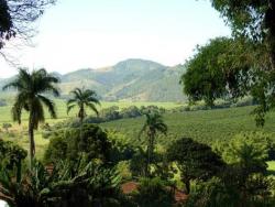 #211 - Fazenda para Venda em Serra Negra - SP