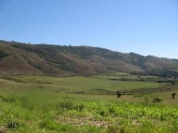 Fazenda para Venda em Serra Negra - 5