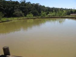 Venda em Zona Rural - Serra Negra