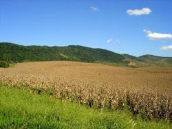 Fazenda para Venda em Serra Negra - 4