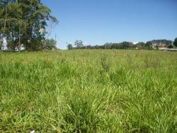 Empresa para Venda em Atibaia - 4