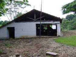 #241 - Fazenda para Venda em Espírito Santo do Pinhal - SP - 2