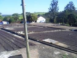 Fazenda para Venda em Espírito Santo do Pinhal - 5
