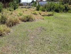 #035 - Sítio para Venda em Morungaba - SP