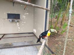 #281 - Sítio para Venda em Morungaba - SP