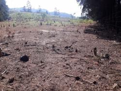 #262 - Fazenda para Venda em Morungaba - SP