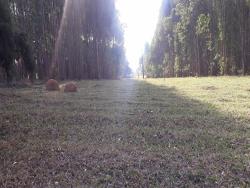 #262 - Fazenda para Venda em Morungaba - SP