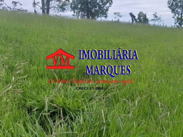 #339 - Sítio para Venda em Morungaba - SP