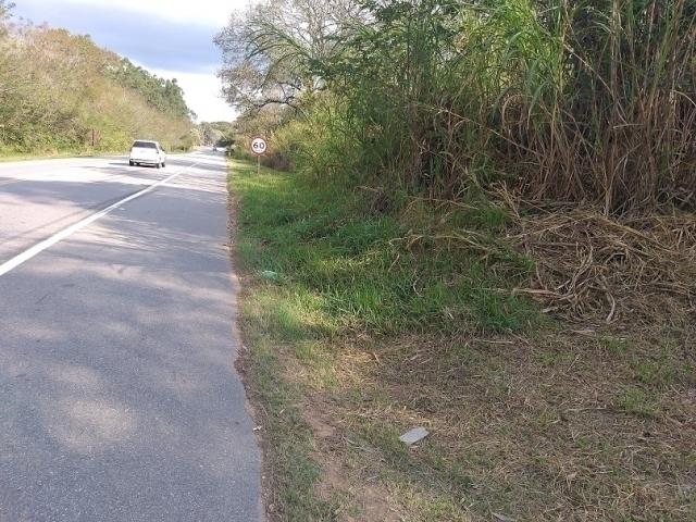 Sítio para Venda em Amparo - 4