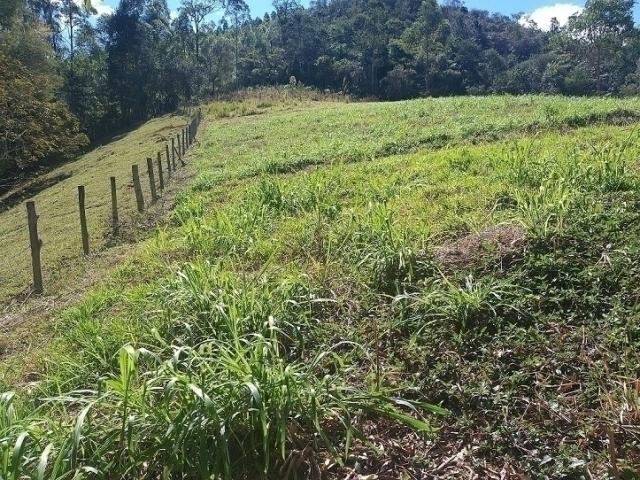 Sítio para Venda em Tuiuti - 5