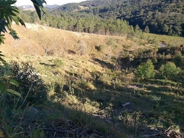 Sítio para Venda em Amparo - 4