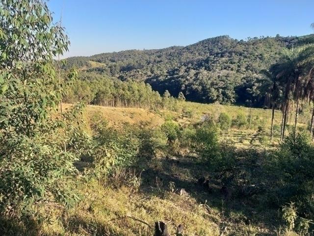 #059 - Sítio para Venda em Amparo - SP