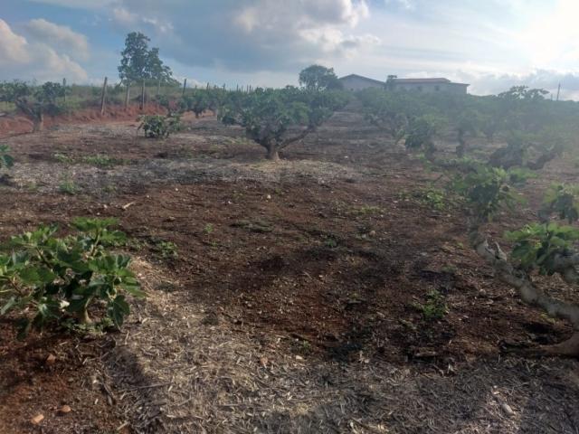 Sítio para Venda em Morungaba - 4