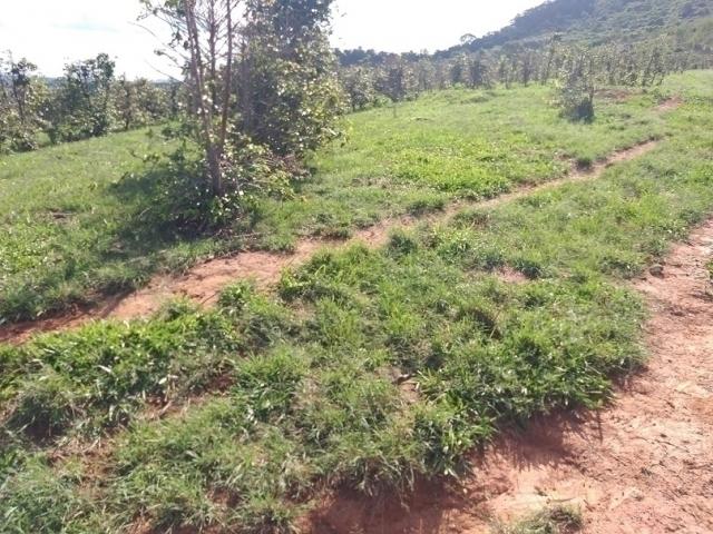 Venda em Zona Rural - Bragança Paulista