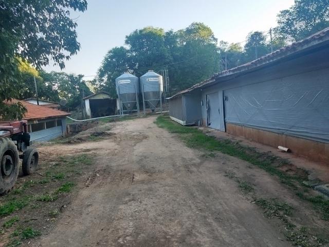 #024 - Sítio para Venda em Amparo - SP