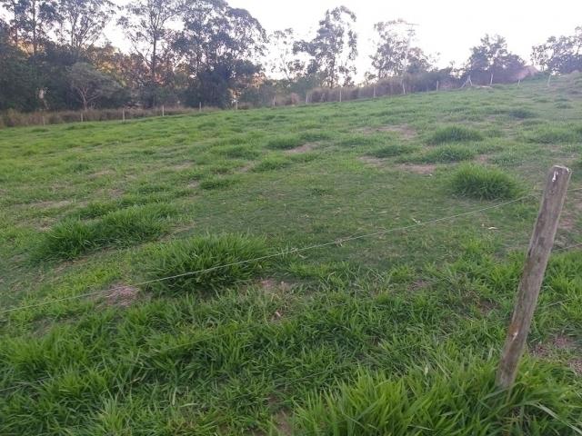 Venda em Zona Rural - Amparo