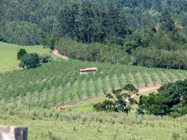 Venda em Zona Rural - Morungaba