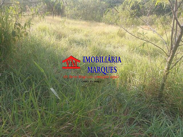 #020 - Sítio para Venda em Amparo - SP