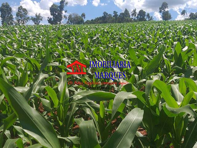 #060 - Sítio para Venda em Morungaba - SP